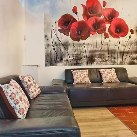 Appartement Cozy Penthouse In A New Business Building In City Center. Free Private Parking à Cluj-Napoca Extérieur photo
